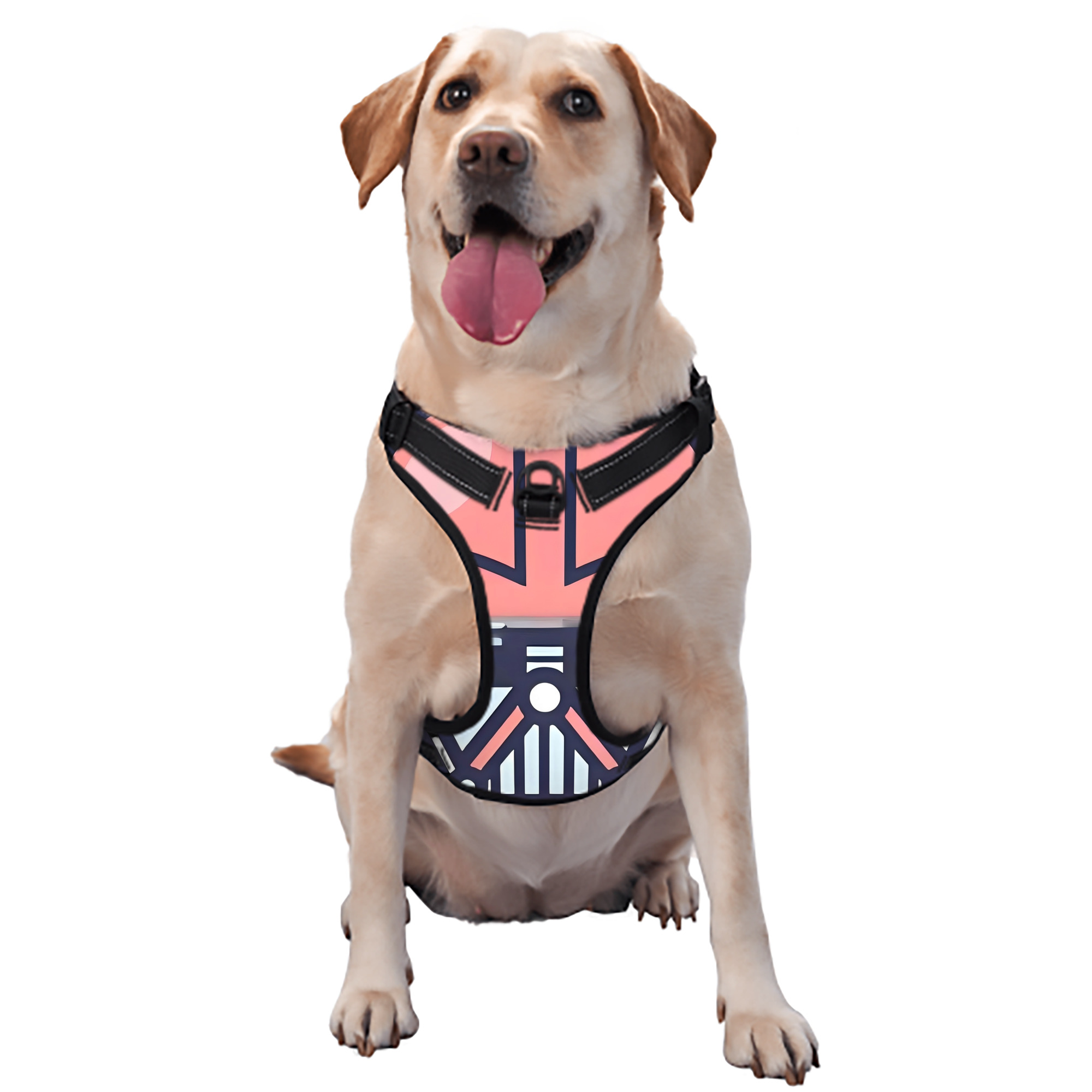 （画像用） スター・ウォーズ Star Wars ペット用ハーネス